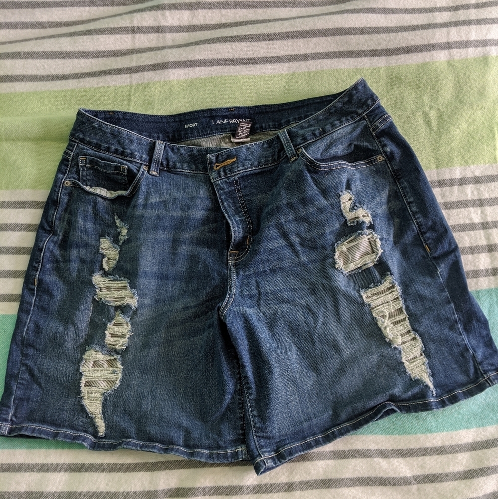 Lane Bryant Distressed Shorts - MidLength